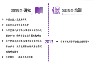 殴洲美B大B骚性非评估类项目发展历程